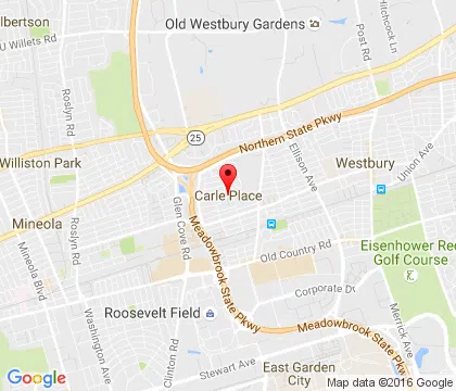 logo-image - CarlePlace-NY