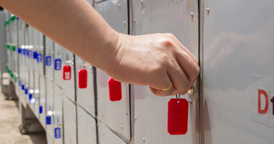 Exclusive Locksmith Service Carle Place, NY 516-262-3445 Exclusive Locksmith Service Carle Place, NY 516-262-3445